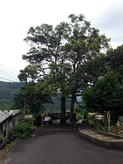 台北内湖いちご狩り,室内イチゴ狩り,カフェ