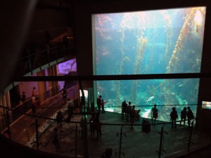 台湾,ケンティン,国立海洋生物博物館,水族館