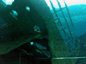 台湾,ケンティン,国立海洋生物博物館,水族館