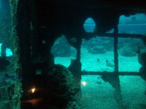 台湾,ケンティン,国立海洋生物博物館,水族館