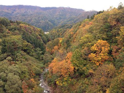 2013年秋、白馬近隣の紅葉。