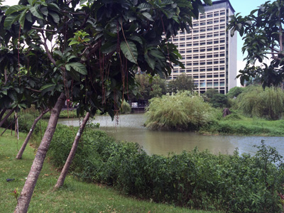 サガリバナ,台湾,松山文創園區