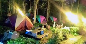 台湾で子ども子連れキャンプ,ウーライ,烏来,文山農場