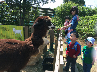 六福村,新竹,動物園,遊園地