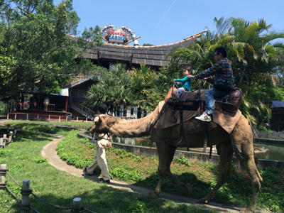 六福村,新竹,動物園,遊園地