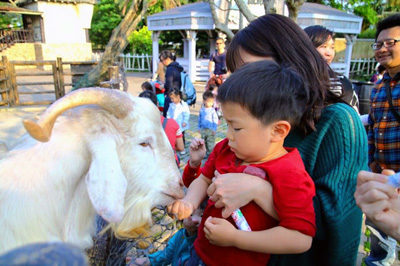 六福村,新竹,動物園,遊園地