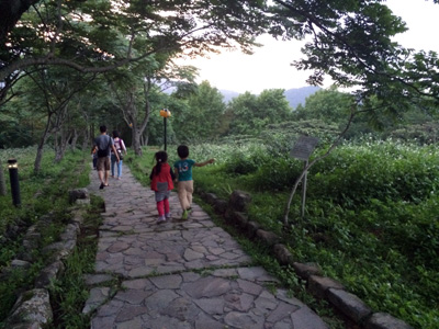 台湾で子ども子連れキャンプ,ウーライ,烏来,文山農場