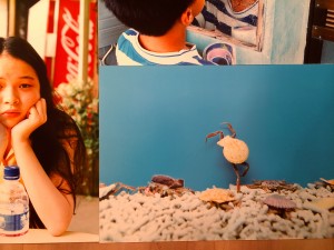 川島小鳥,台北写真展,誠品,明星