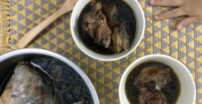 電気鍋レシピ,漢方スープ,十全大補湯,台湾