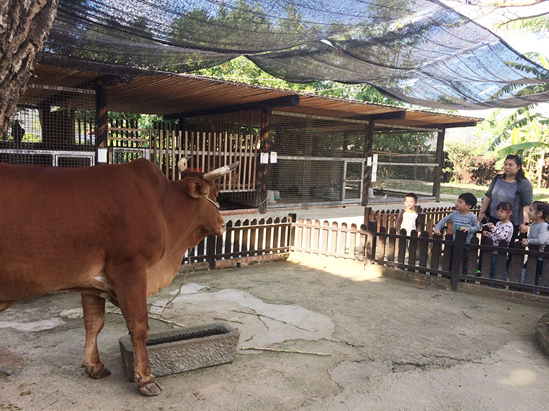 新竹北埔,ベイプー,客家体験,台湾,北埔麥客田園