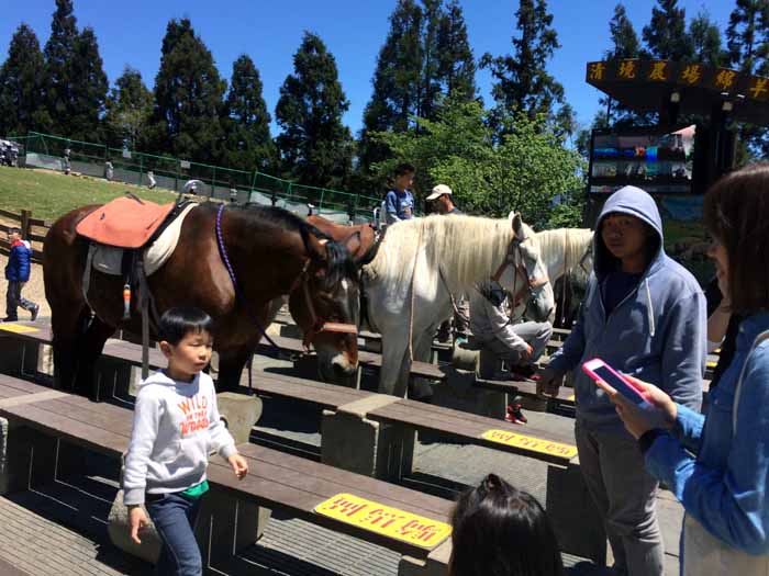 清境農場,高速バス,民宿,おすすめ,親子旅行,南投,台中,埔里,台北