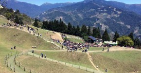 清境農場,高速バス,民宿,おすすめ,親子旅行,南投,台中,埔里,台北