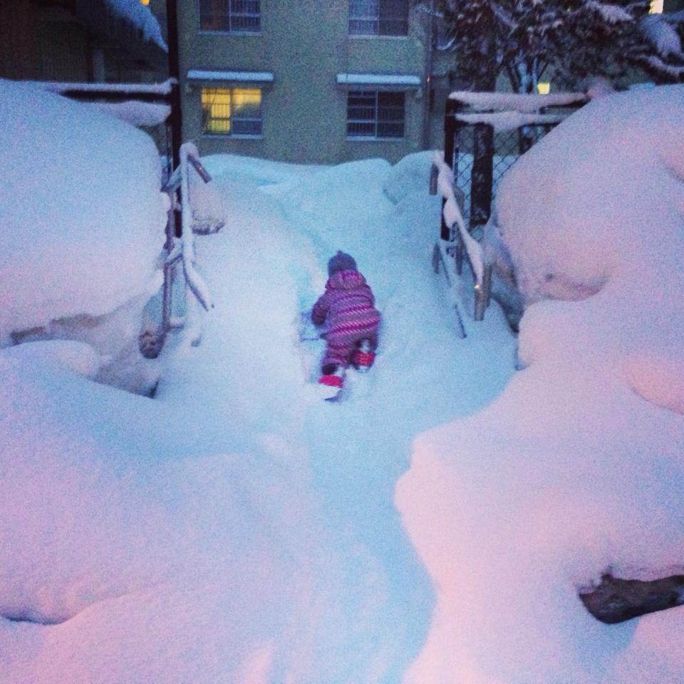 白馬はすごい雪！ 白馬村的雪真的好大喔！