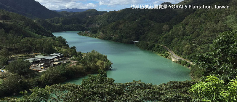 台湾茶,お土産,中山,アフタヌーンティー,和菓子,おすすめ,誠品南西,ホテルサンルート台北,幼瀨明月,YORAIMOON,幼瀨伍號,明月堂