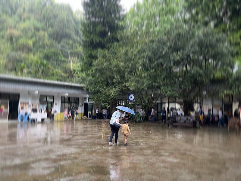 種の親子実験小学校