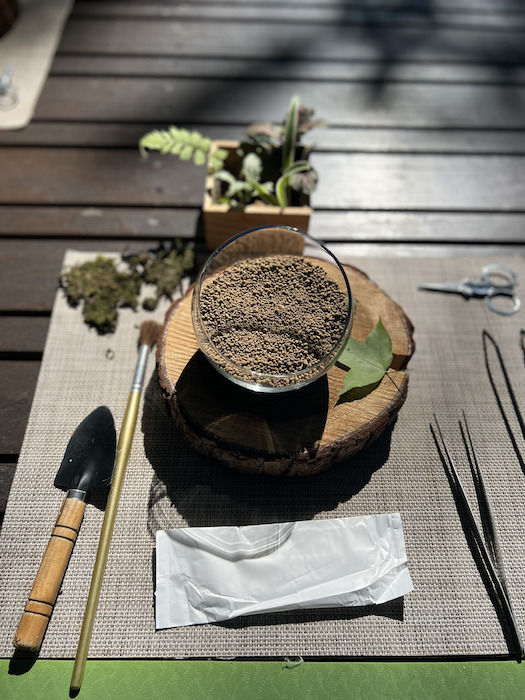 「星のやグーグァン」お庭にある植物でビオトープを作る体験